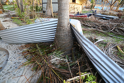 Cyclone Winston : Fiji : 2016 : News : Photos : Richard Moore : Photographer